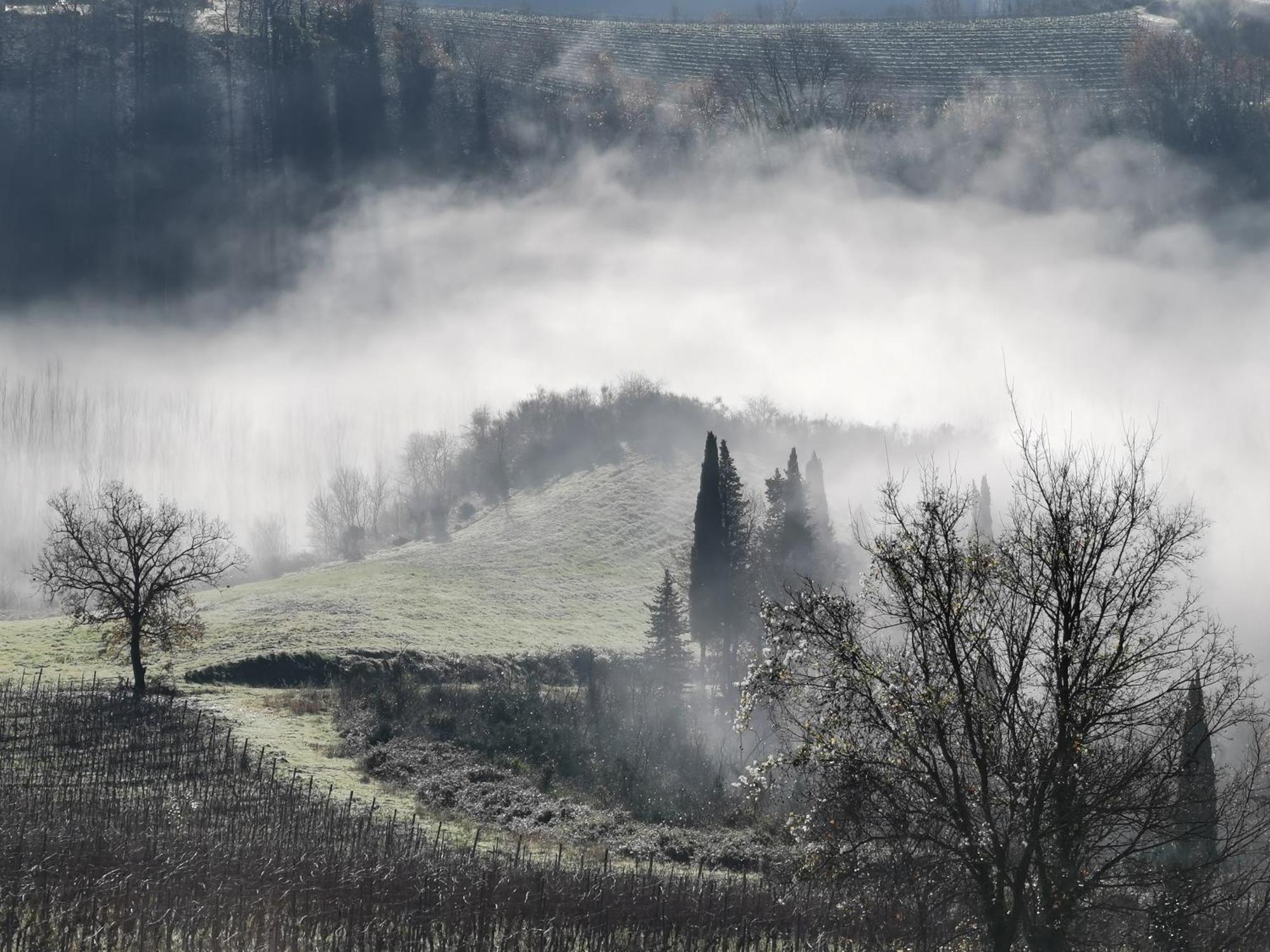 Agriturismo Bio Fattoria Bacio 체르탈도 외부 사진