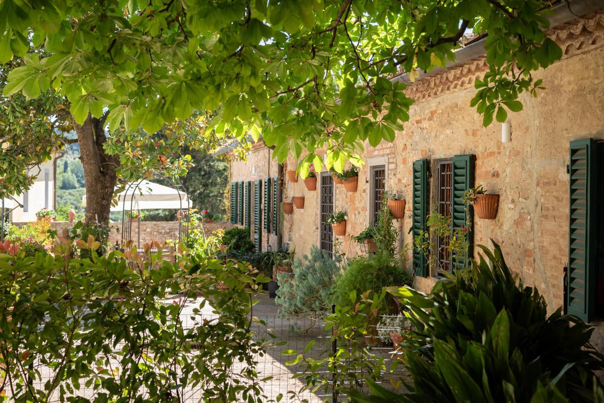 Agriturismo Bio Fattoria Bacio 체르탈도 외부 사진
